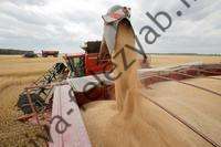 گوترش از "گامی مهم رو به جلو" برای ازسرگیری صادرات غلات اوکراین استقبال کرد |