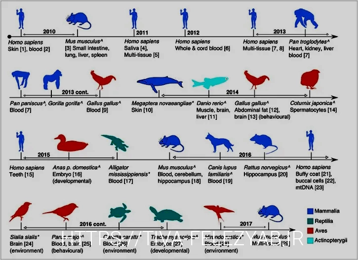 What do animals eat
